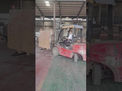 L'usine effectue la galvanisation à chaud et le traitement de flexion