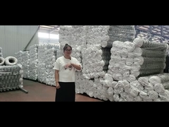 Hauteur 2,5 m Clôture en treillis métallique Q195 Bordure à boucles