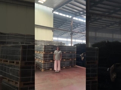 Vue dégagée sur le treillis des piquets de sécurité 358 barrière anti-escalade