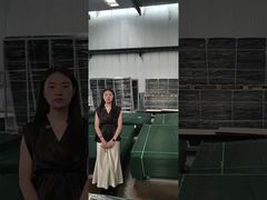 Clôture de sécurité anti-escalade Clear View pour la fabrication de palettes